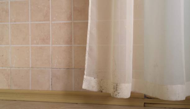 Best Mold Remediation for Healthcare Facilities  in Hermosa Beach, CA