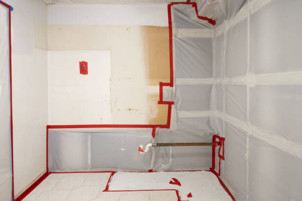 Best Mold Removal for HVAC Installations  in Hermosa Beach, CA