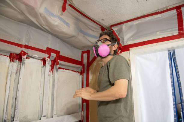 Best Mold-Related Health Consultation  in Hermosa Beach, CA