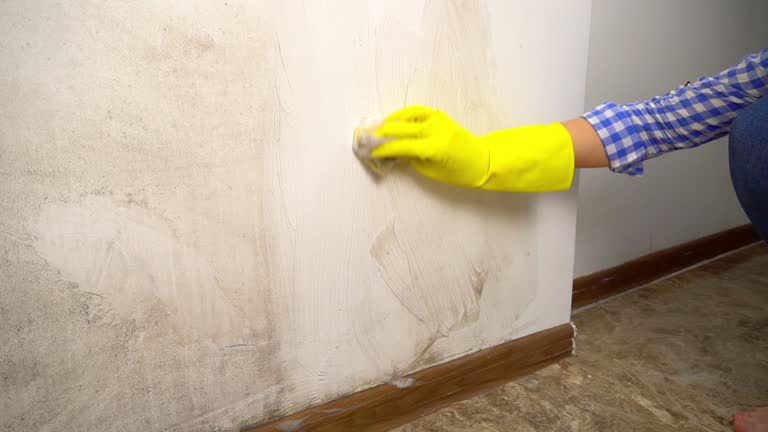Best Asbestos and Lead Testing During Mold Inspection  in Hermosa Beach, CA
