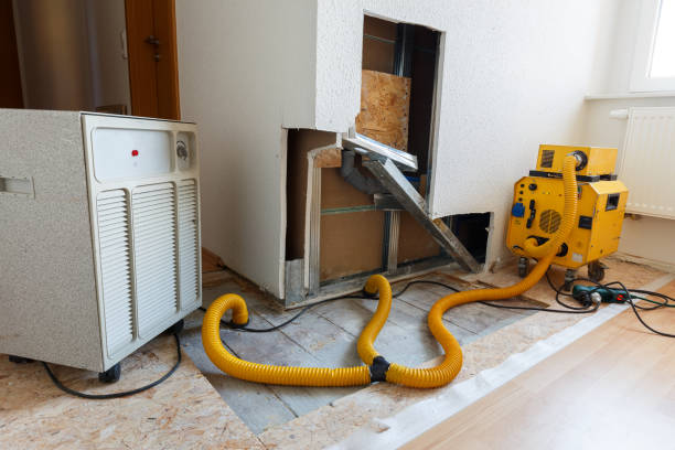 Best Industrial Mold Remediation  in Hermosa Beach, CA